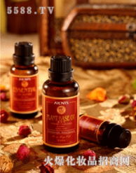 茉莉芬芳，廣州雅欖芝日用品 批發市場的璀璨明珠